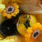 Stand tall sunflower set